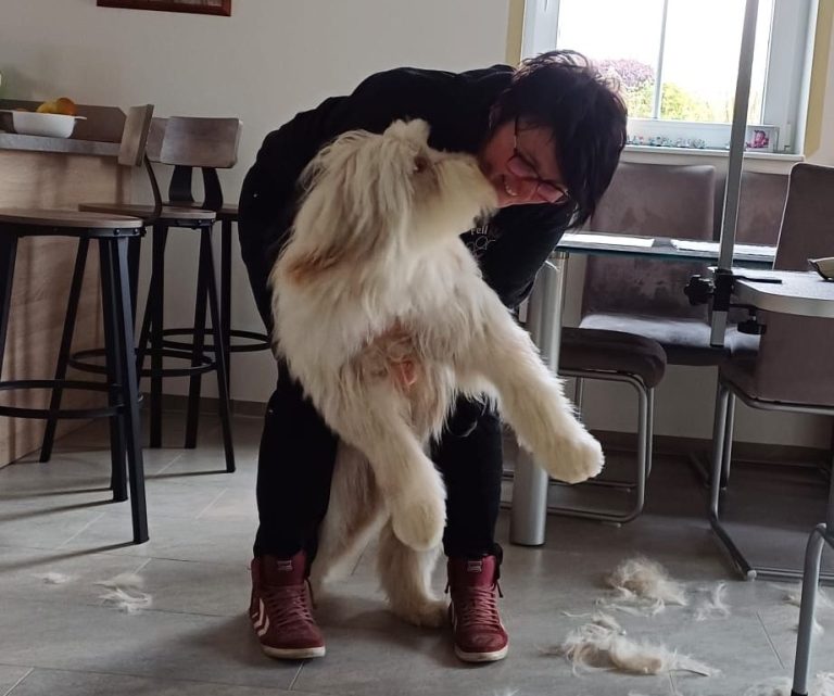 Fertig frisierter und fröhlicher Hund mit Silke Braunersreuther