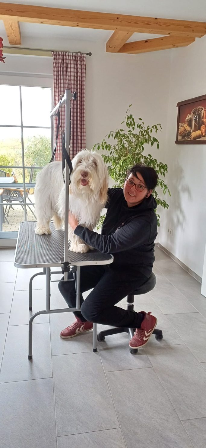Hund vor der Fellpflege mit Silke Braunersreuther