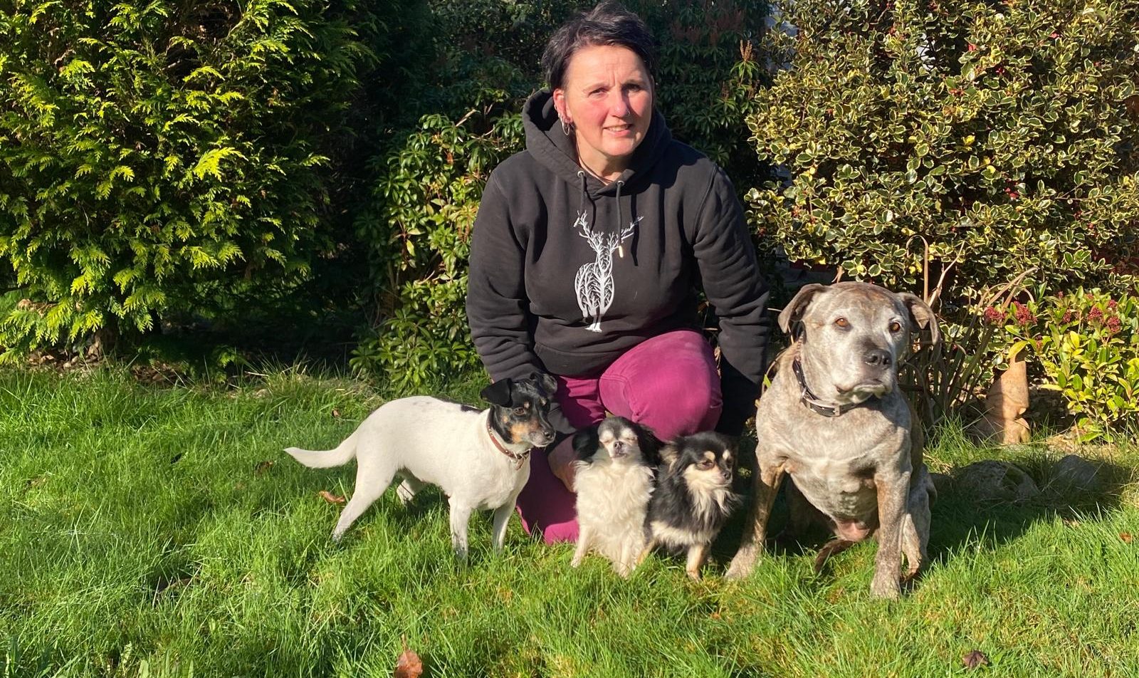 Silke Braunersreuther mit ihren vier Hunden
